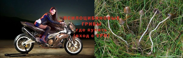 мет Армянск