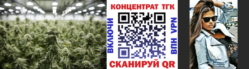 ТГК THC oil  Лабытнанги 