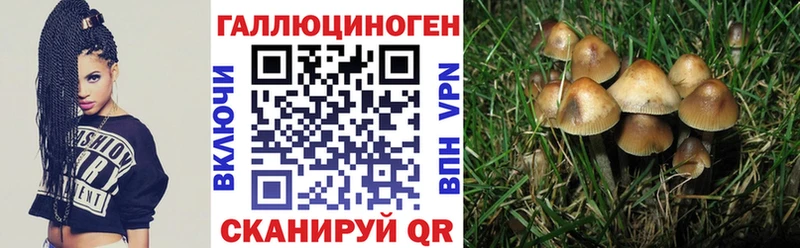 Галлюциногенные грибы MAGIC MUSHROOMS  что такое   Лабытнанги 
